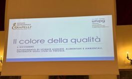 featured 2942342 265x160