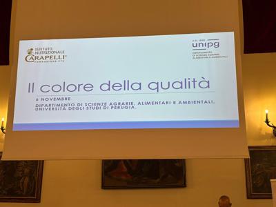 Olio, Inc: "Nuove evidenze scientifiche per preservare qualit&agrave; evo in bottiglia"