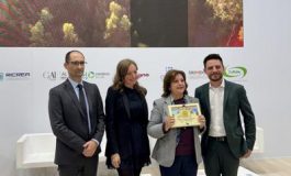 featured 2946019 265x160