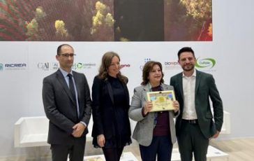 featured 2946019 364x230