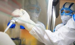 featured 2950347 265x160