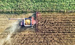 featured 2964627 265x160