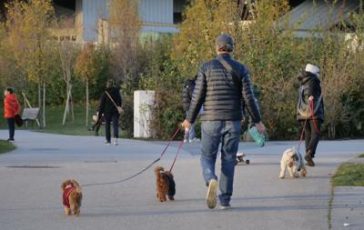 featured 2975373 364x230