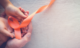 featured 2975587 265x160