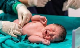 featured 2979191 265x160