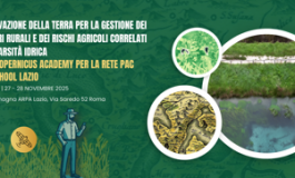 featured 2999176 265x160