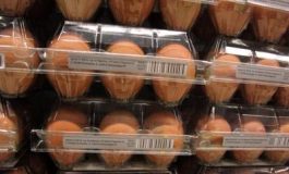 featured 3021487 265x160