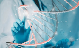 featured 3042136 265x160