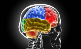 featured 3043960 265x160