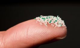 featured 3060282 265x160