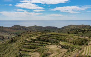 featured 3060552 364x230