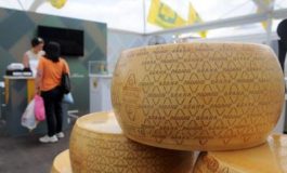 featured 3074066 265x160