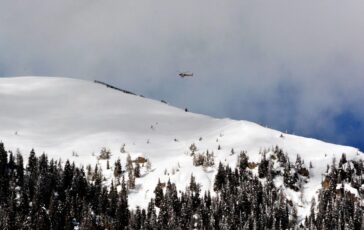 image 71a96d5c 9beb 43d4 baa1 0ef955ef624d 364x230