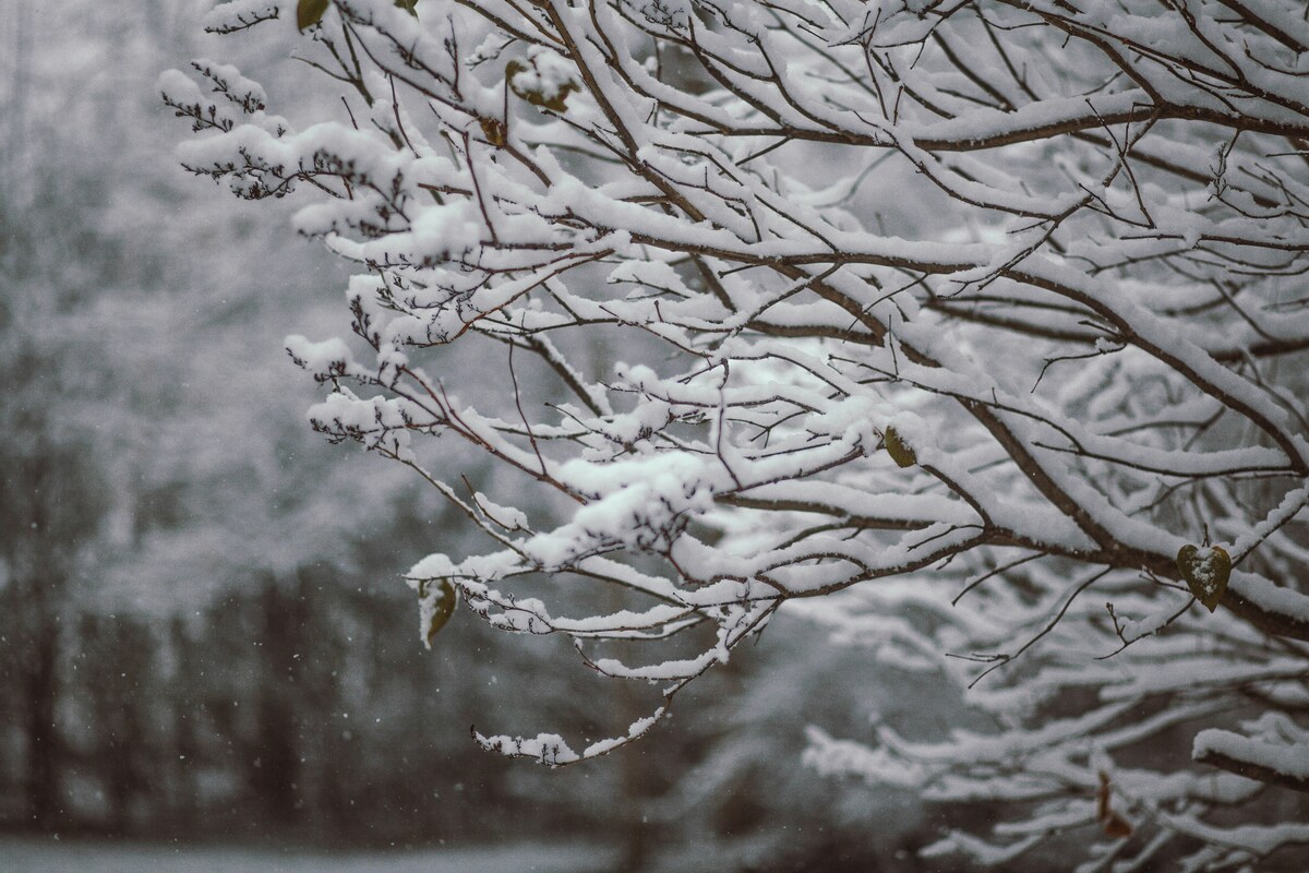 Maltempo, è allerta meteo in sette regioni: temporali, freddo e neve in arrivo