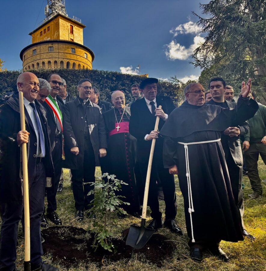 Manna delle Madonie: due frassini piantati nei Giardini Vaticani
