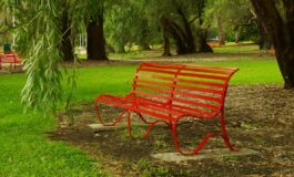 La cultura che prepara il delitto: segnali ignorati e silenzi che pesano