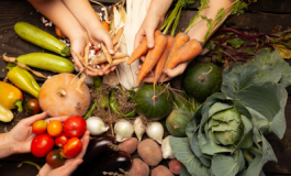 featured 3108838 265x160