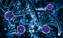 featured 3109243 265x160