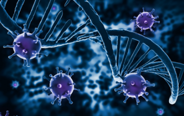 featured 3109243 364x230