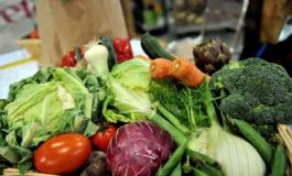 featured 3126849 265x160