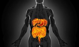 featured 3155677 265x160