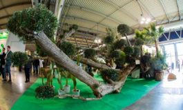 featured 3196929 265x160