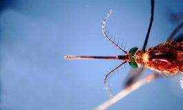 featured 3204199 265x160