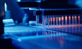 featured 3207335 265x160