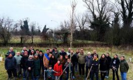 featured 3215706 265x160