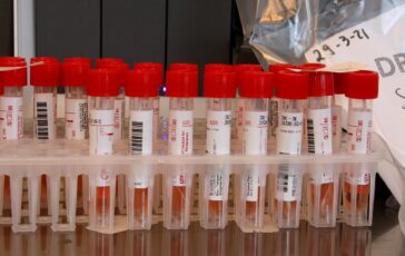 epidemie virus europa