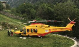 travolta mandria mucche