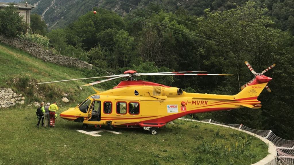 Tragedia sfiorata, travolta da una mandria di mucche, il racconto choc: “Così sono sopravvissuta”