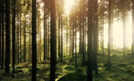 001-padre-ammette-lontananza-affetti-più-cari