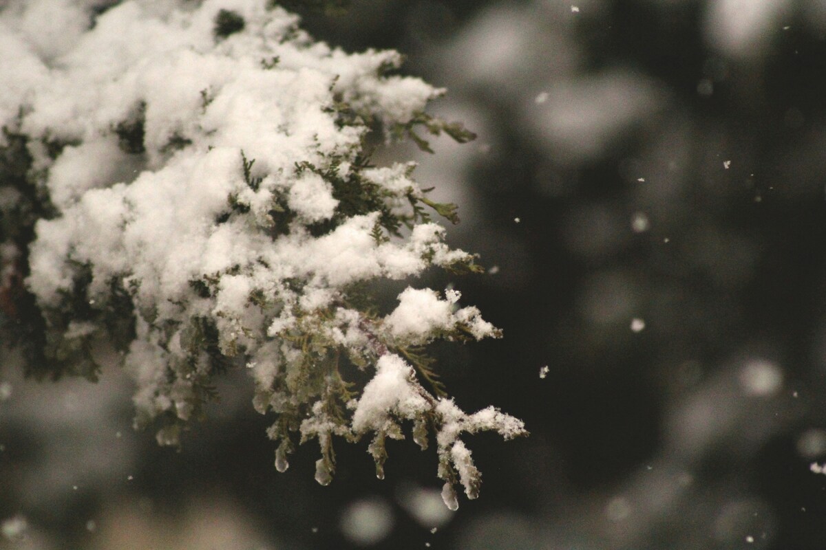 Allerta meteo, sciabolata artica sull'Italia: neve anche in pianura? Le previsioni