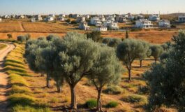 israele ufficializza lespansione degli insediamenti conseguenze per la popolazione palestinese 1765875367 265x160