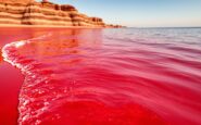 le incredibili acque rosse dellisola di hormuz in iran un paradiso naturale da scoprire 1765985281