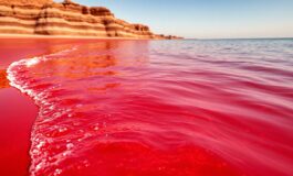 le incredibili acque rosse dellisola di hormuz in iran un paradiso naturale da scoprire 1765985281 265x160