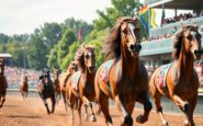 le migliori scommesse e consigli per vincere alle corse di marlborough 1765122336