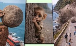 67103027 8c0b 4a2a 9d88 0a71bb7c0112 2160x900 1 265x160