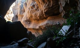 caso manuela murgia assenza di prove biologiche dallex fidanzato 1767438703 265x160