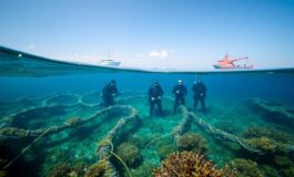 cavi sottomarini e sostenibilita scopri il potenziale del riciclo per un futuro verde 1767471472 265x160