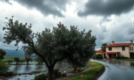 ciclone harry emergenza maltempo in sicilia e calabria aggiornamenti e previsioni 1768913346 265x160