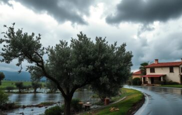 ciclone harry emergenza maltempo in sicilia e calabria aggiornamenti e previsioni 1768913346 364x230