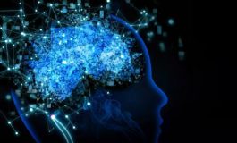 featured 3518074 265x160