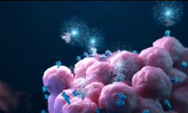 featured 3518492 265x160