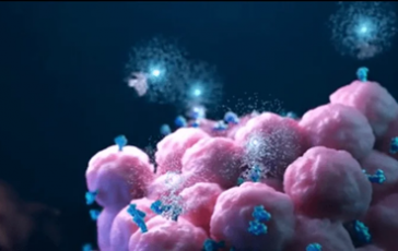 featured 3518492 364x230