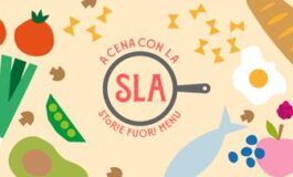 featured 3537144 265x160