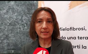 featured 3537191 364x225