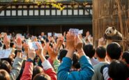 il giappone saluta i panda la fine di unera con il ritorno in cina 1769536248