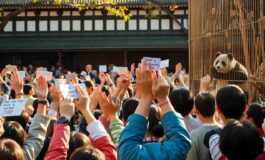 il giappone saluta i panda la fine di unera con il ritorno in cina 1769536248 265x160